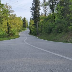 strada per artimino