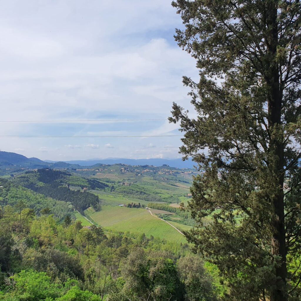paesaggio artimino